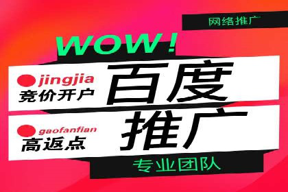 揭秘网络推广竞价的成功要素：以某企业为例